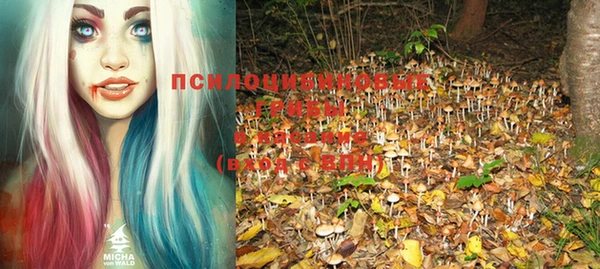 mdpv Нефтегорск